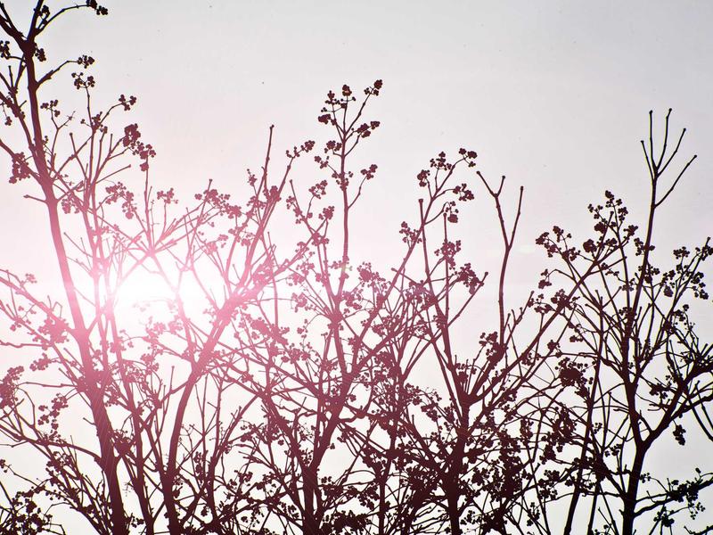 sudoku pattern learning screenshot 6